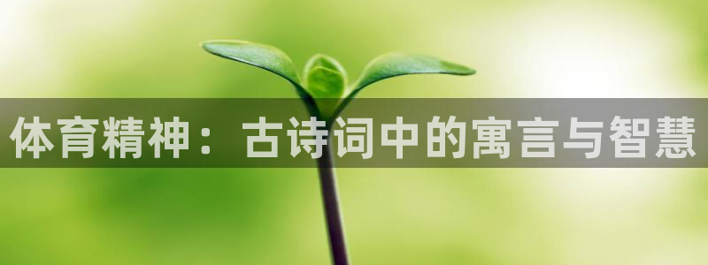 oety欧亿体育官网下载招商电话是多少:体育精神:古诗词中的